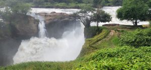 Majestic Murchison Falls: Nature's Magnificent Cascade