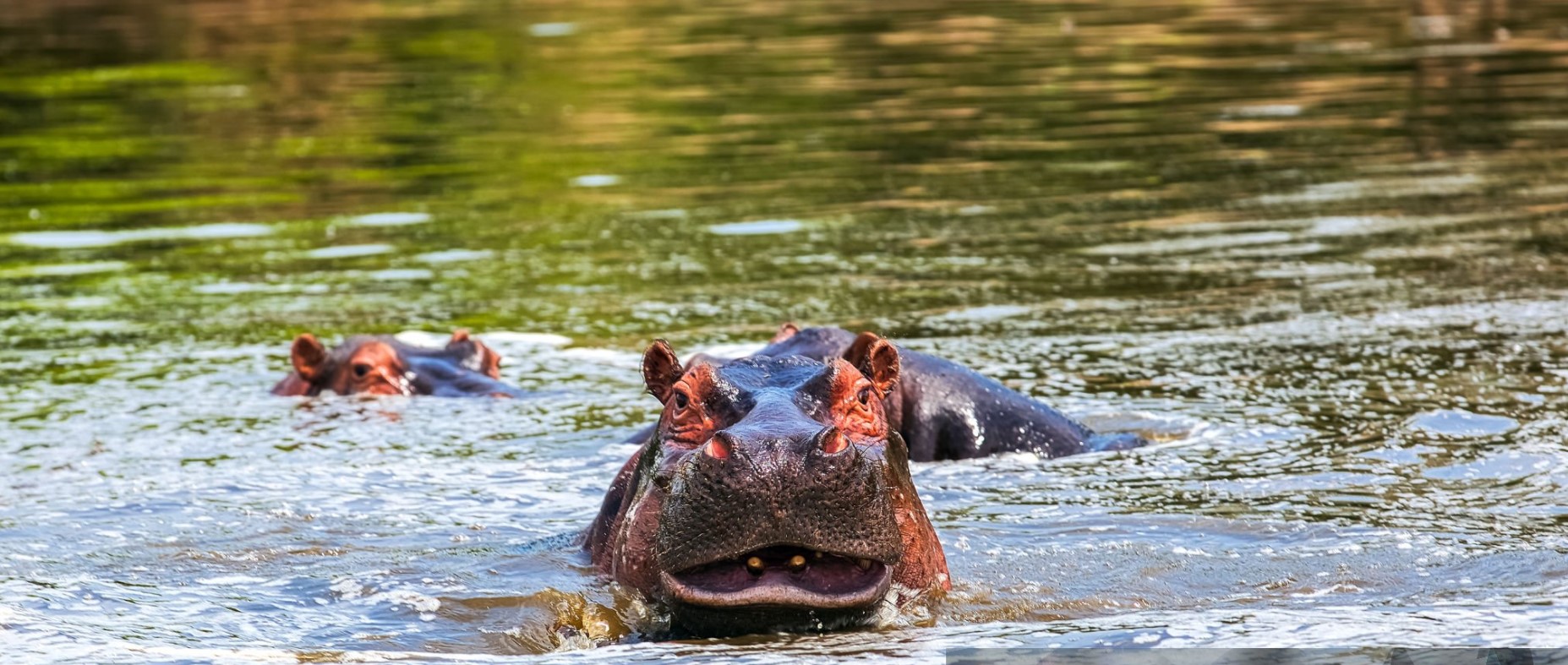 3 Days Lake Mburo National Park Adventure