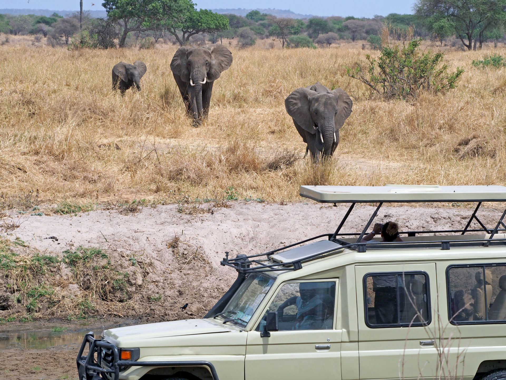 4 Days Uganda Wildlife Tour