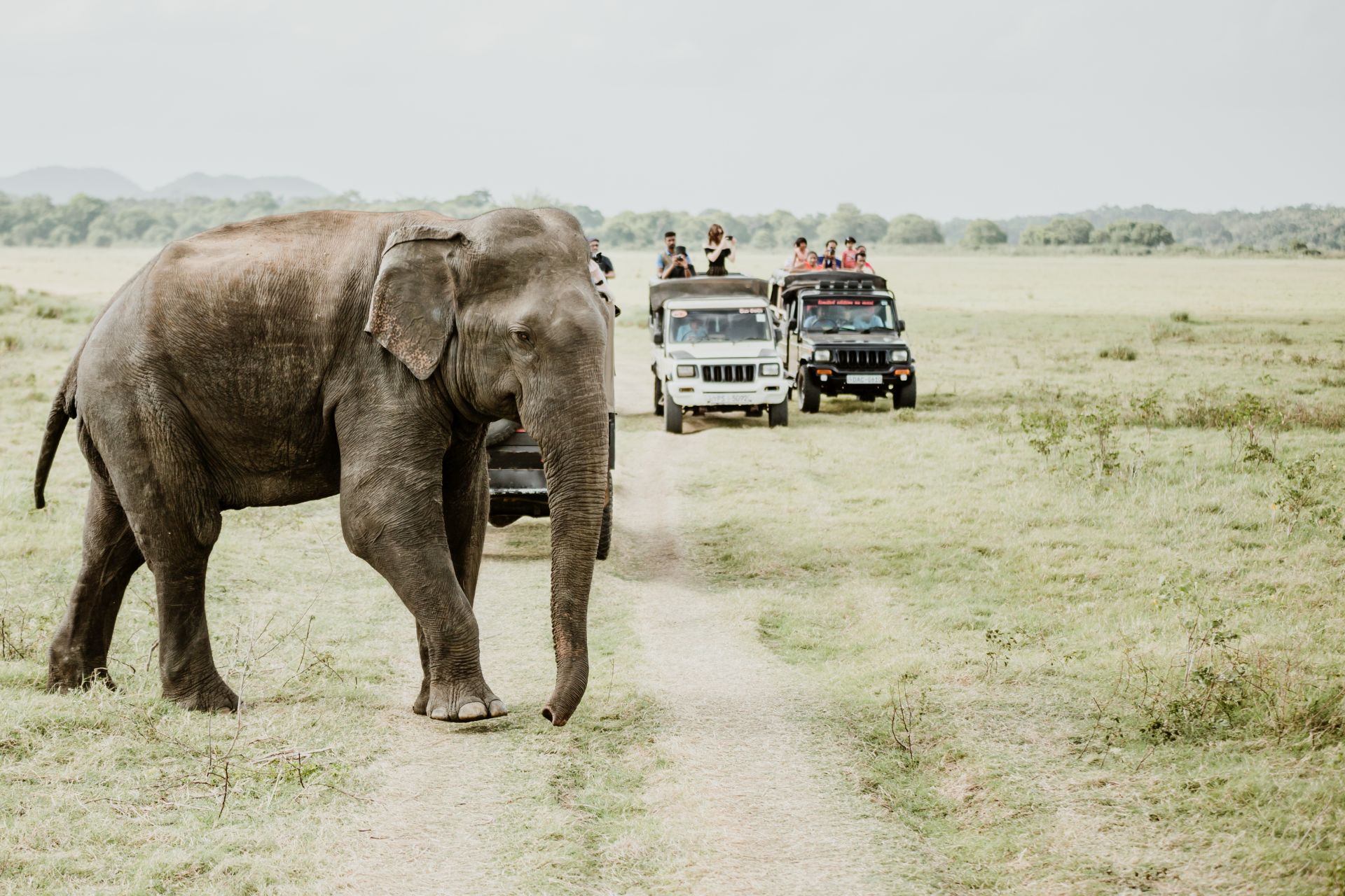 4-Day Queen Elizabeth Safari