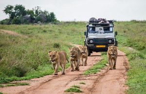 2-Day Uganda & Kenya Adventure Safari