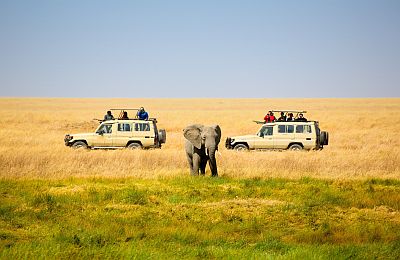 7 Days Tanzania and Uganda Safaris