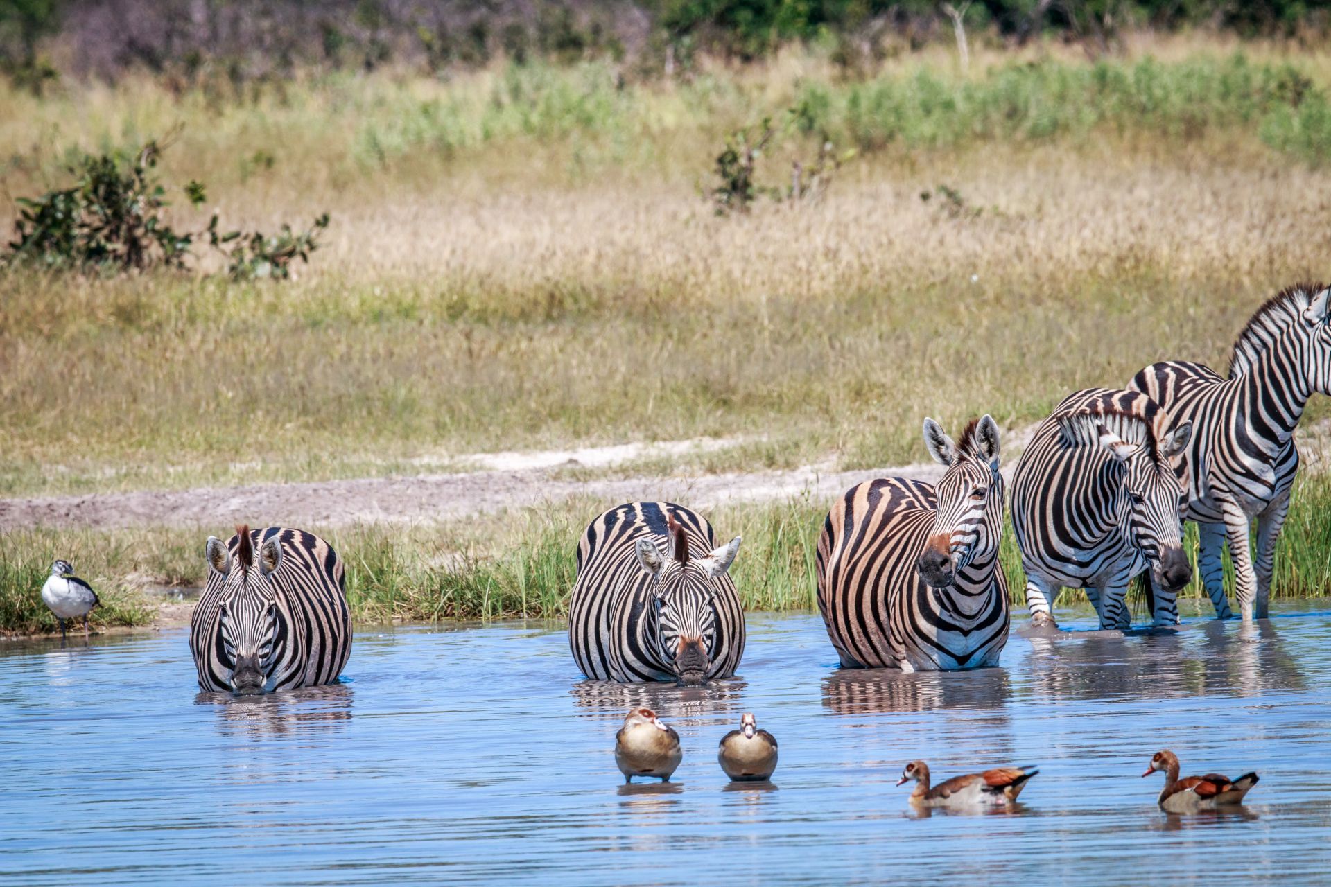 9 Days Kenya-Uganda Safaris