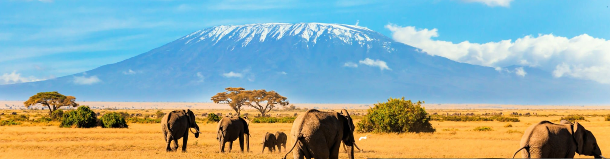 climbing Mount Kilimanjaro