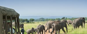 Top Tourist Attractions in Kenya and Tanzania