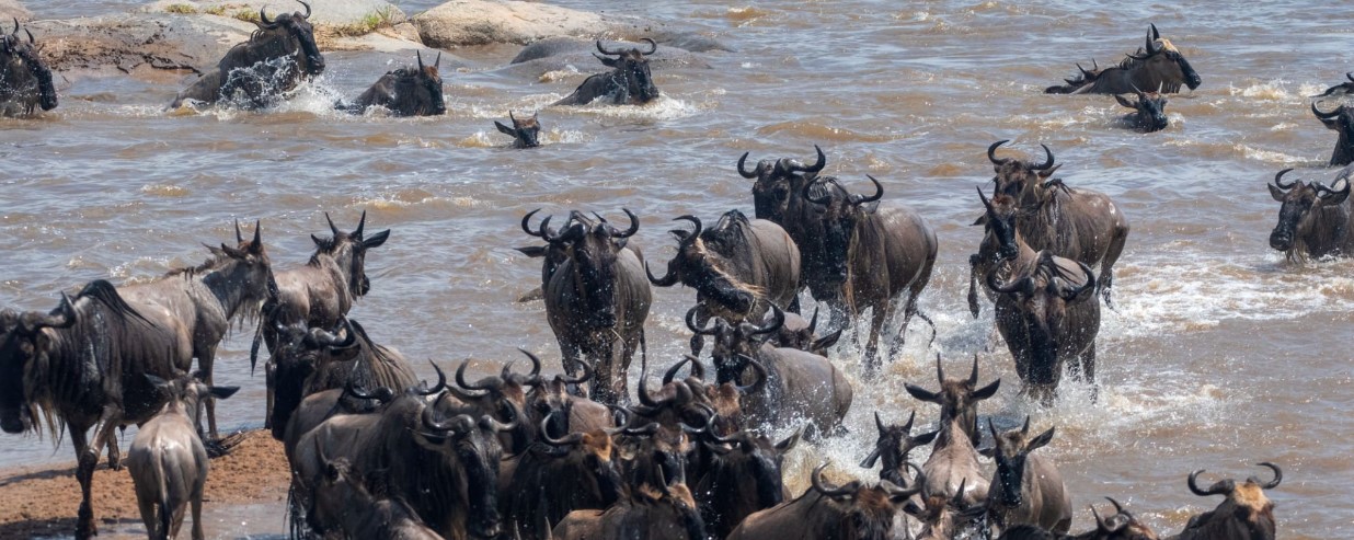 Great Migration